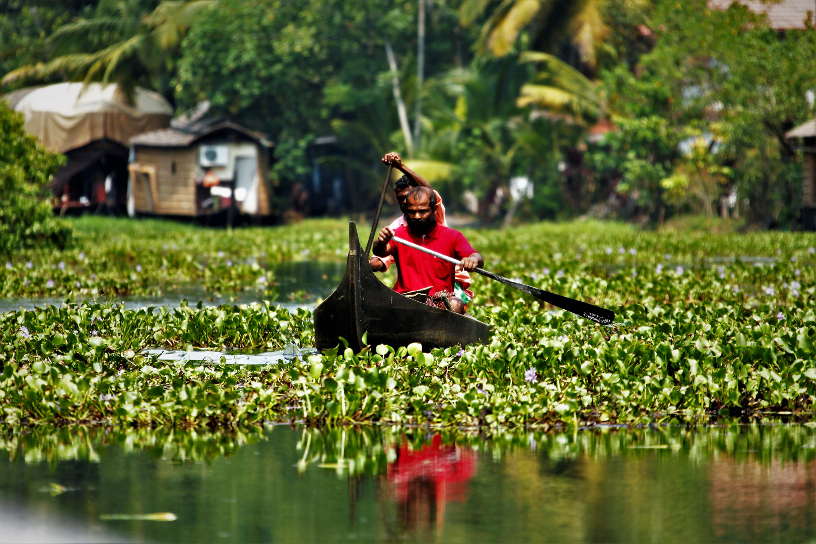 backwaters 1