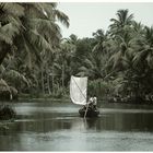 Backwaters #4