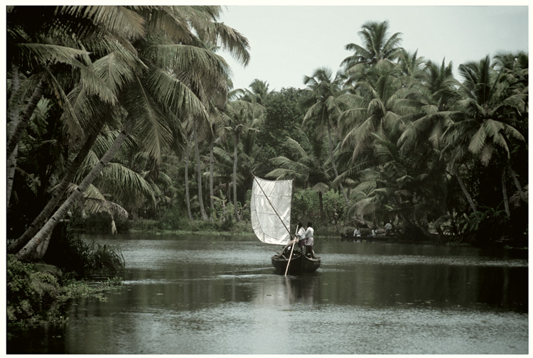 Backwaters #4