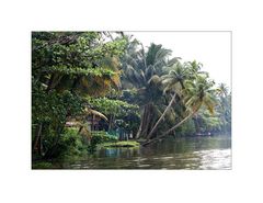 Backwaters