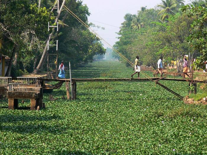 Backwaters ...