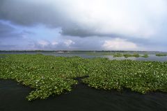 Backwaters, Alleppey, Indien, Kerala