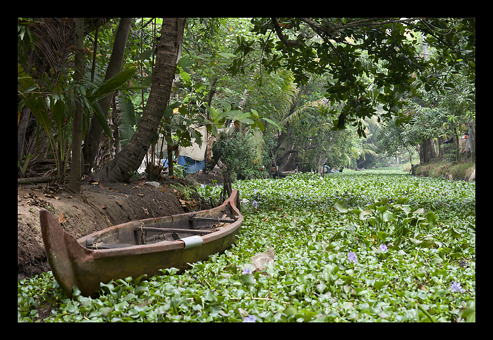 Backwaters bei Allepey #2