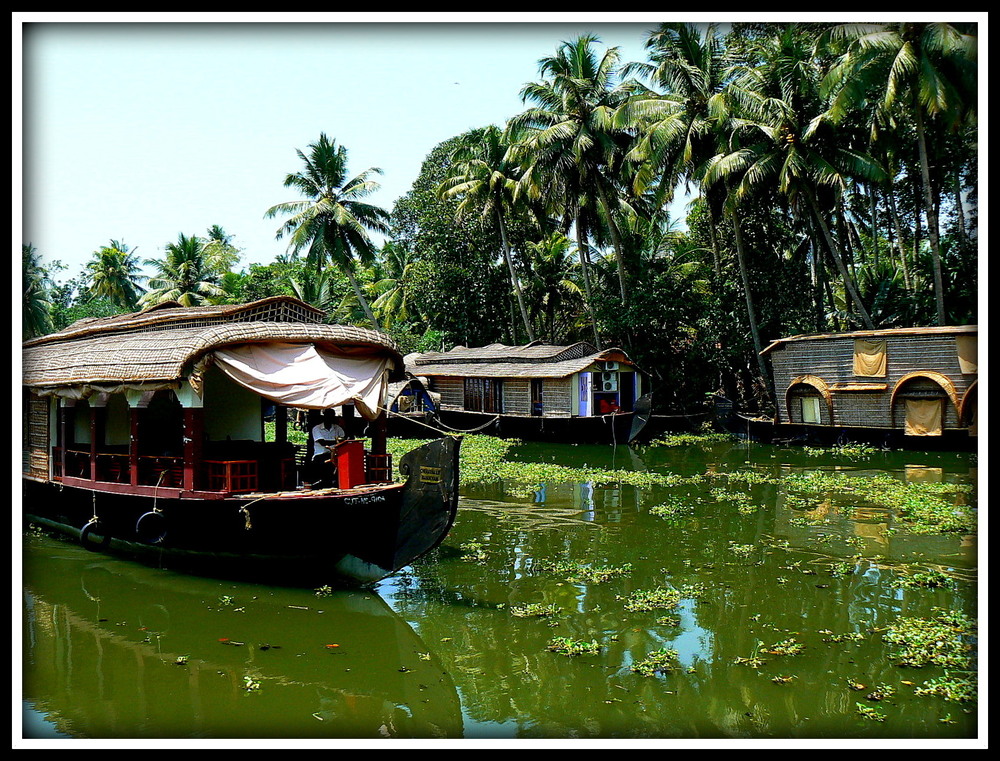 BACKWATERS DERNIERE