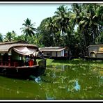 BACKWATERS DERNIERE