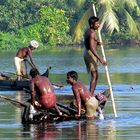 Backwaters in Kerala