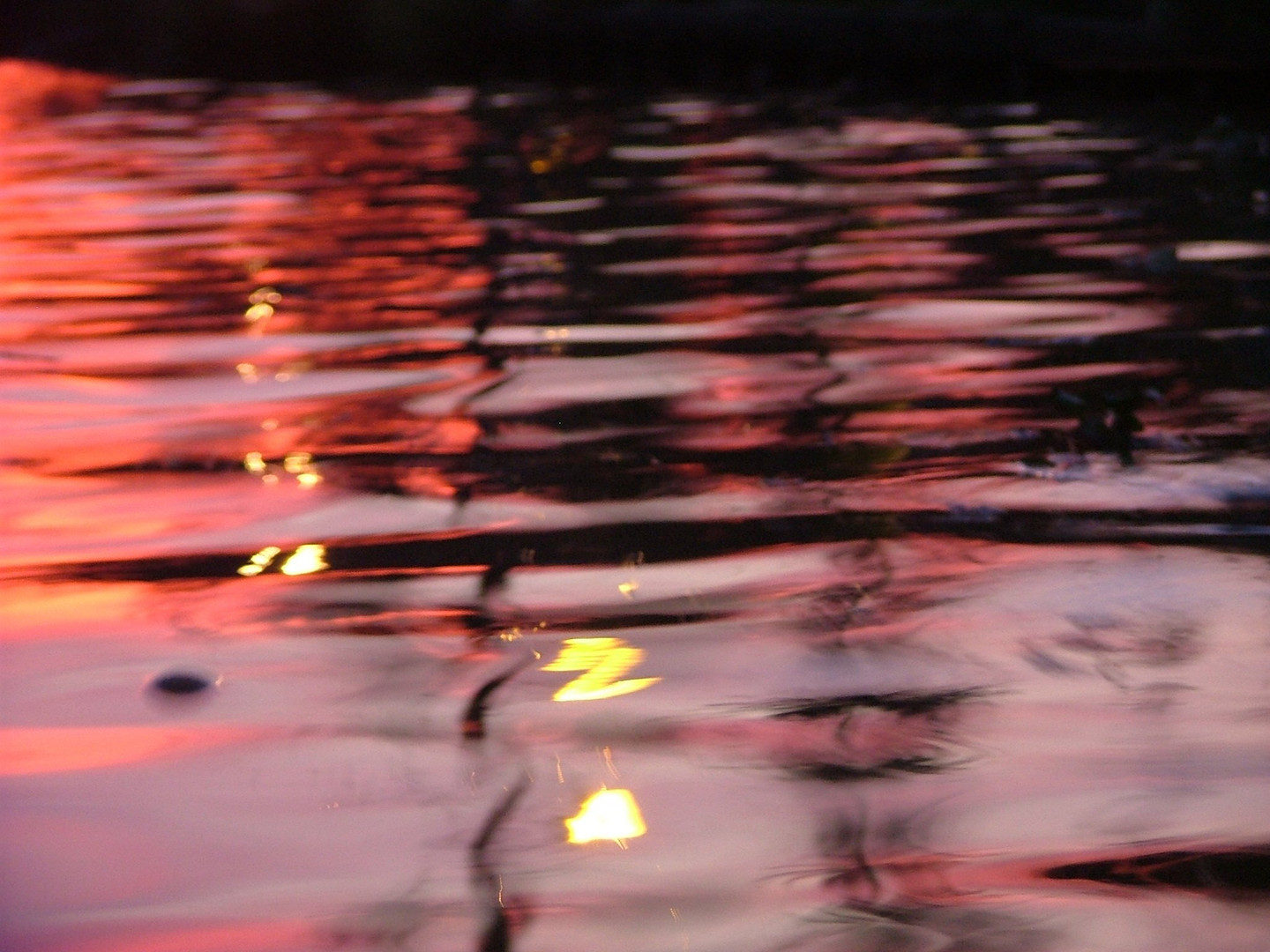 Backwaters Indien