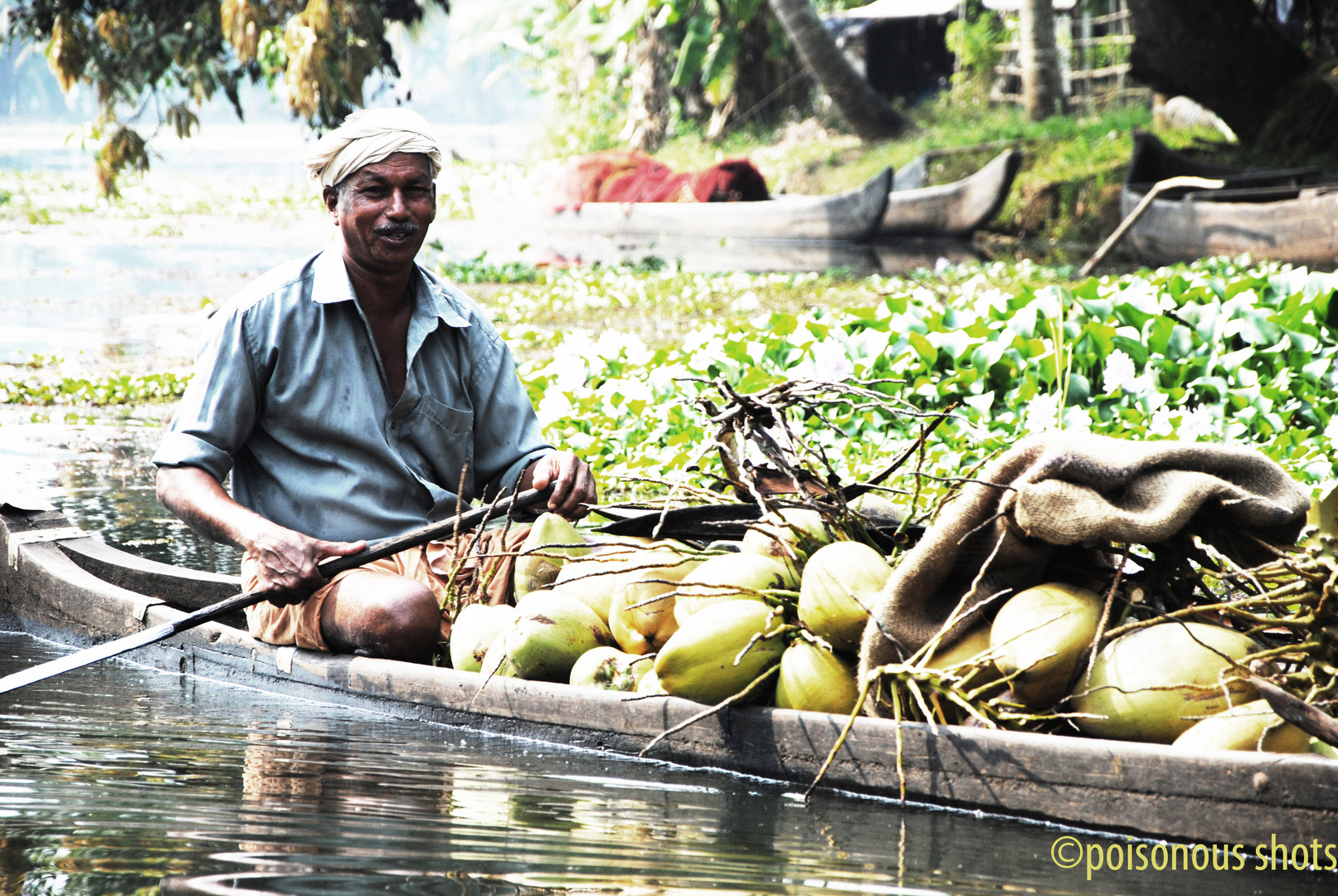 backwaters man with coconuts