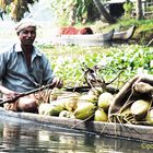 backwaters man with coconuts