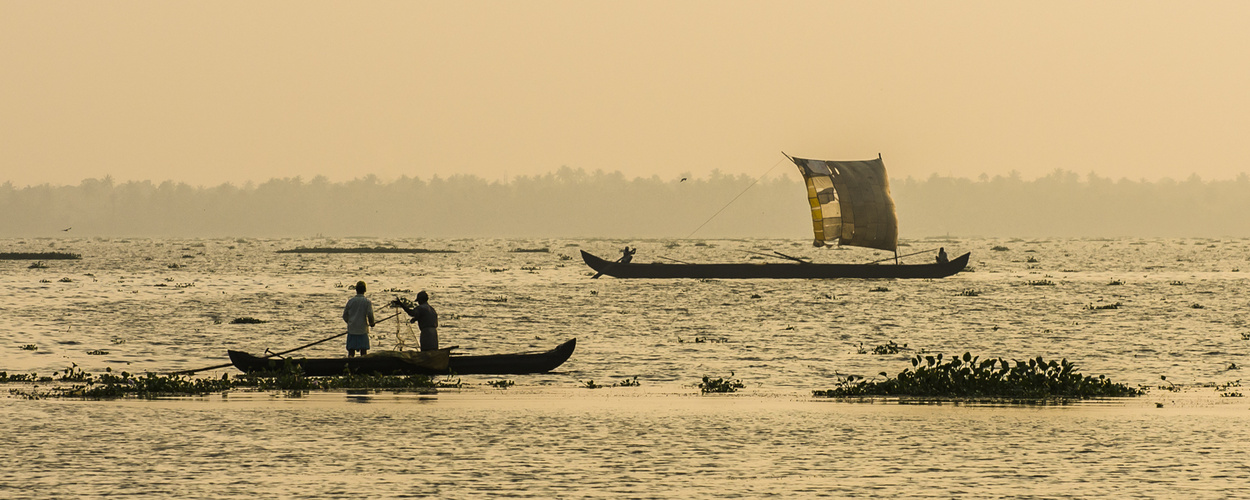 Backwaters - Nahrungsquelle