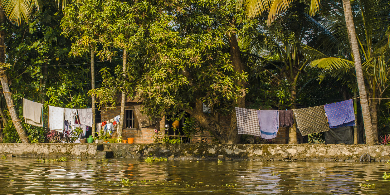 Backwaters - Wasserland als Lebensraum (1)