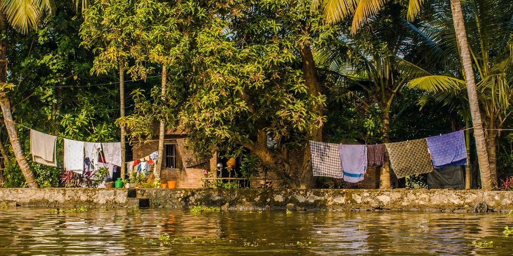 Backwaters - Wasserland als Lebensraum (1)