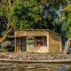 Backwaters - Wasserland als Lebensraum (2)