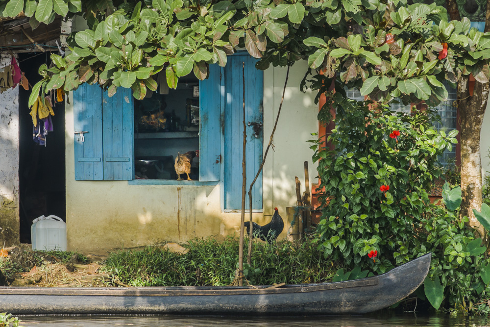 Backwaters - Wasserland als Lebensraum (3)