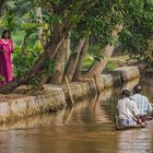 Backwaters - Wasserland als Lebensraum (5)