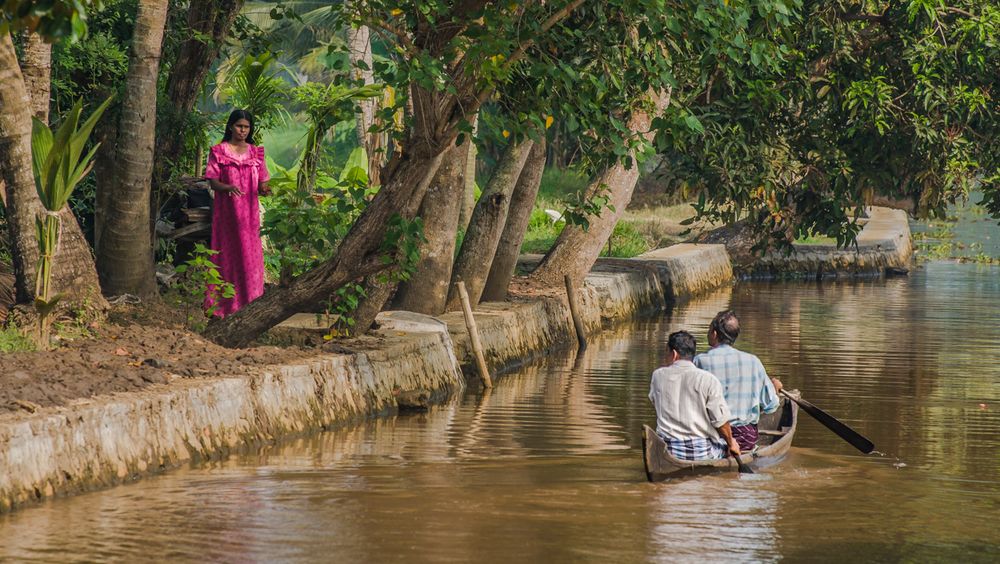 Backwaters - Wasserland als Lebensraum (5)