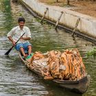 Backwaters - Wasserstrasse für alle und alles (4)