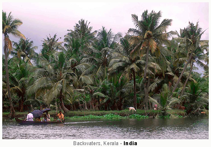 Backwaters, Wassertaxi