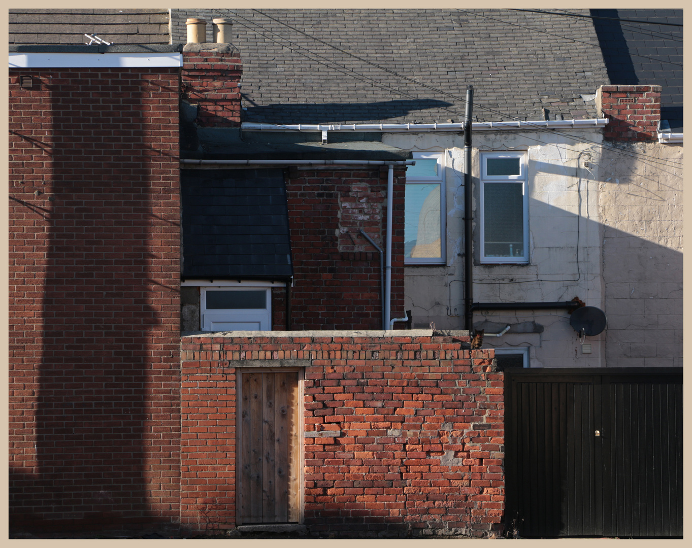 backyard in carr hill gateshead