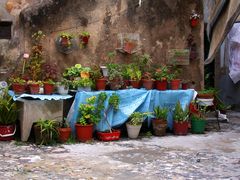 Backyard in Lisboa