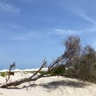 Backyard of the beach