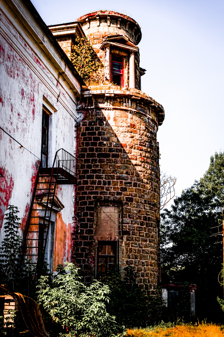 Backyard Old House