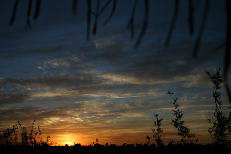 Backyard Sunset