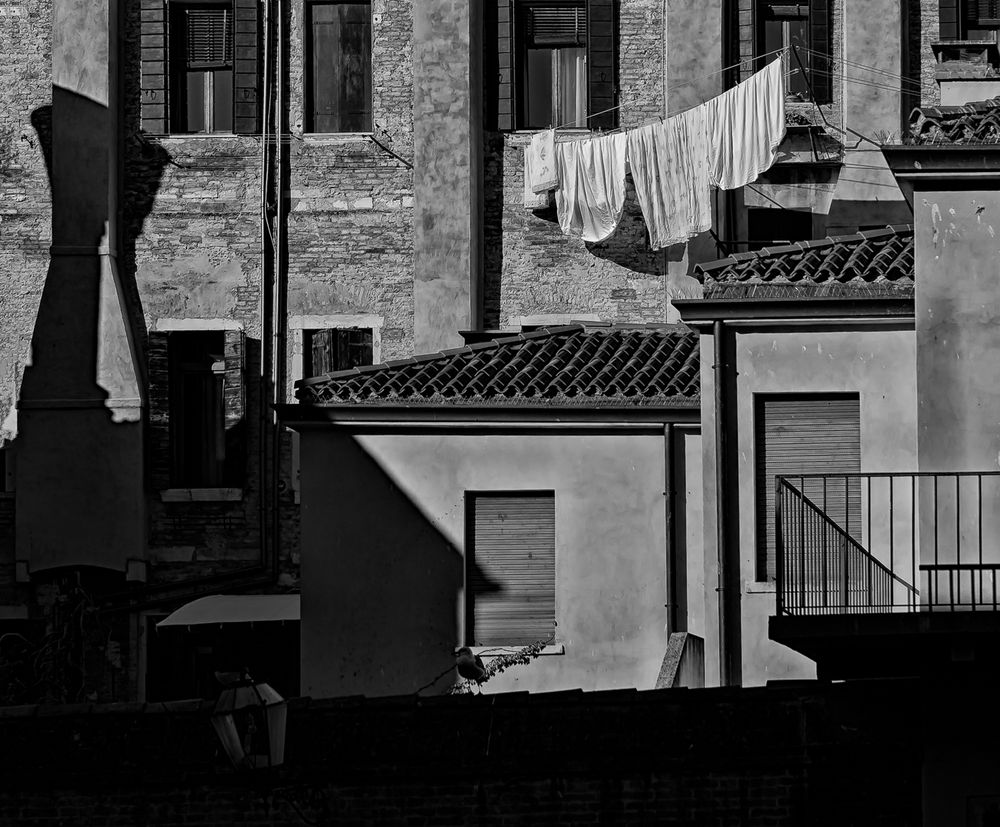 back.yard.venice