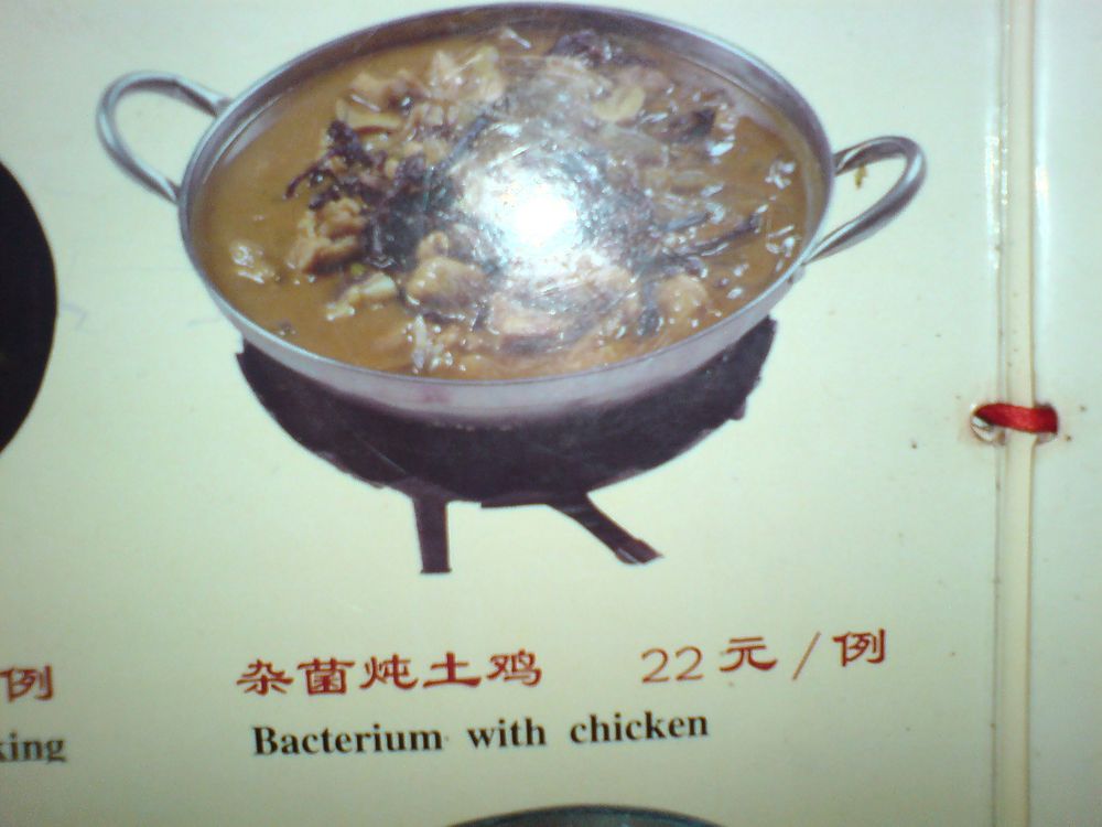 Bacterium with Chicken von Dirk Wannemacher 