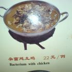 Bacterium with Chicken