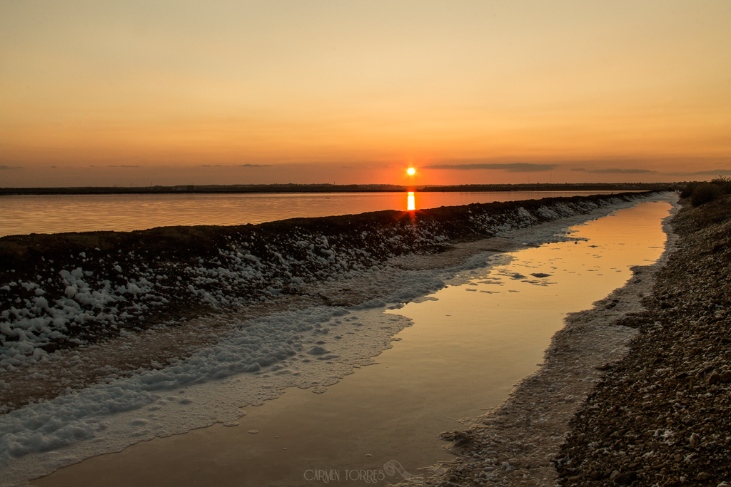 Bacuta al atardecer