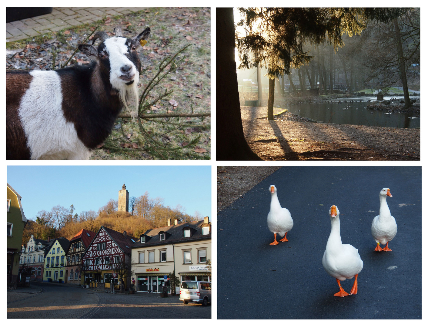 Bad Berneck und Kurpark