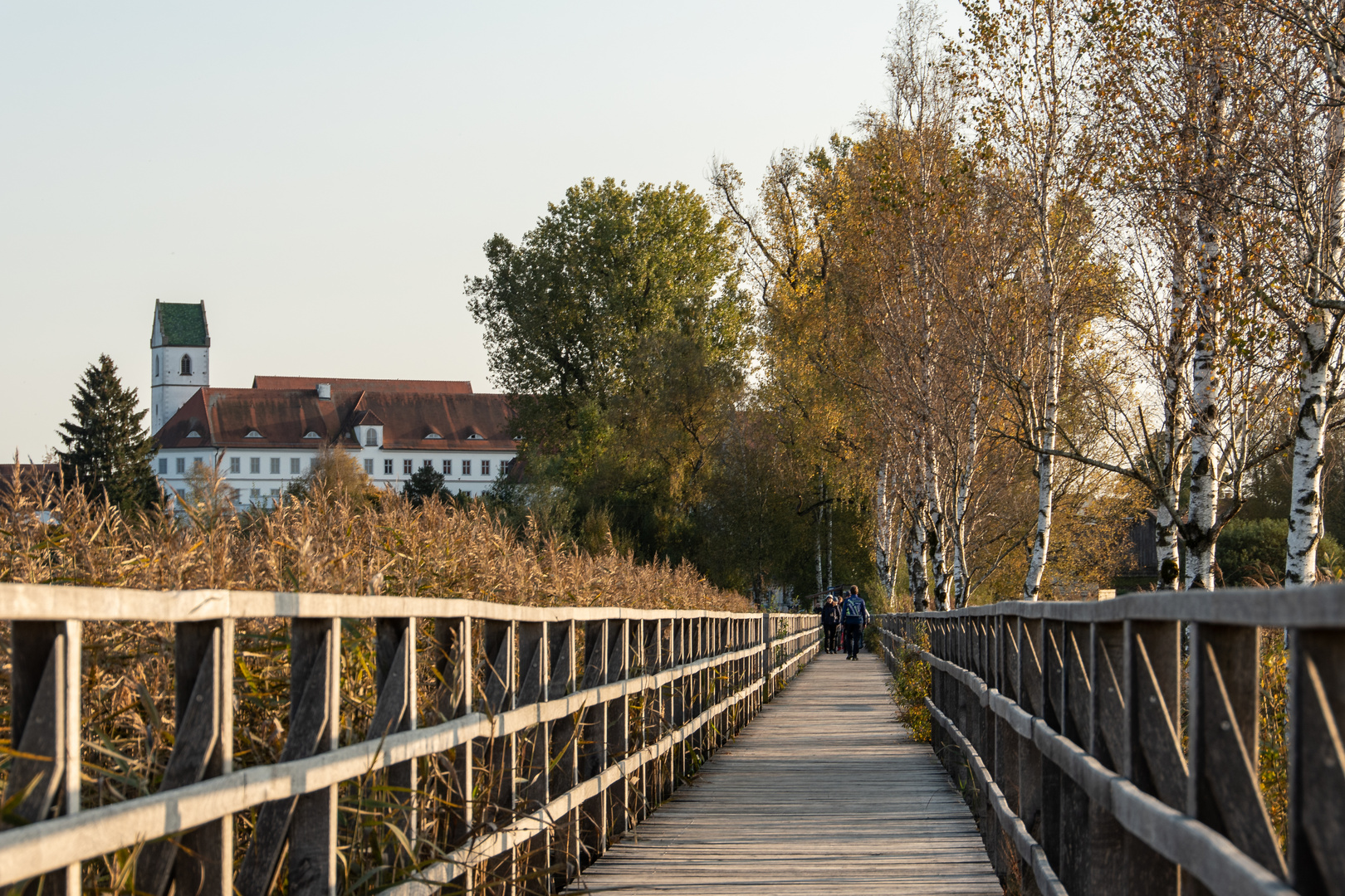 Bad Buchau am Federsee 2