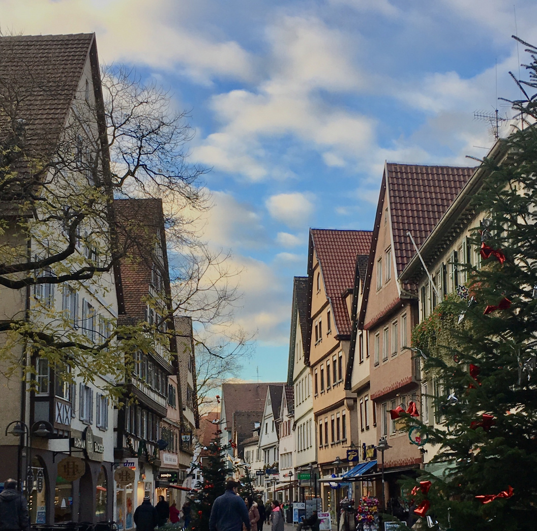 Bad Canstatt Ansichten 