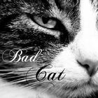 *Bad Cat*