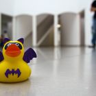 Bad Duck goes Museum