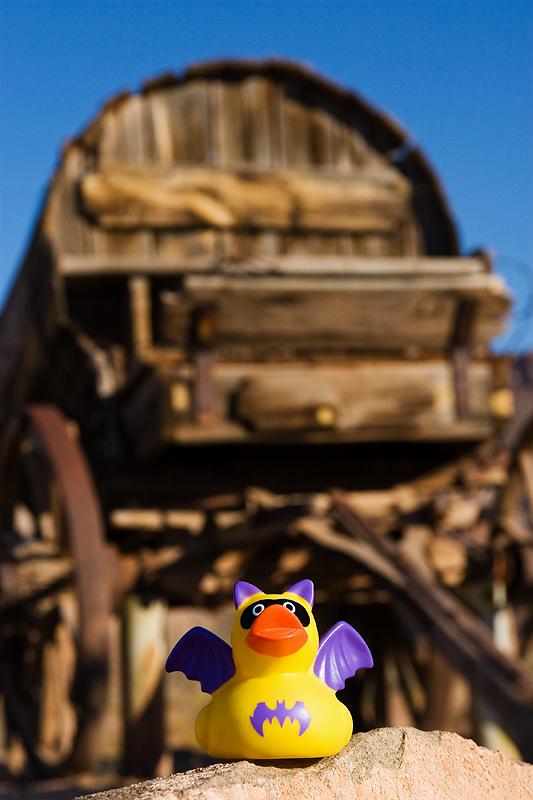 Bad Duck goes Wild West