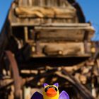 Bad Duck goes Wild West