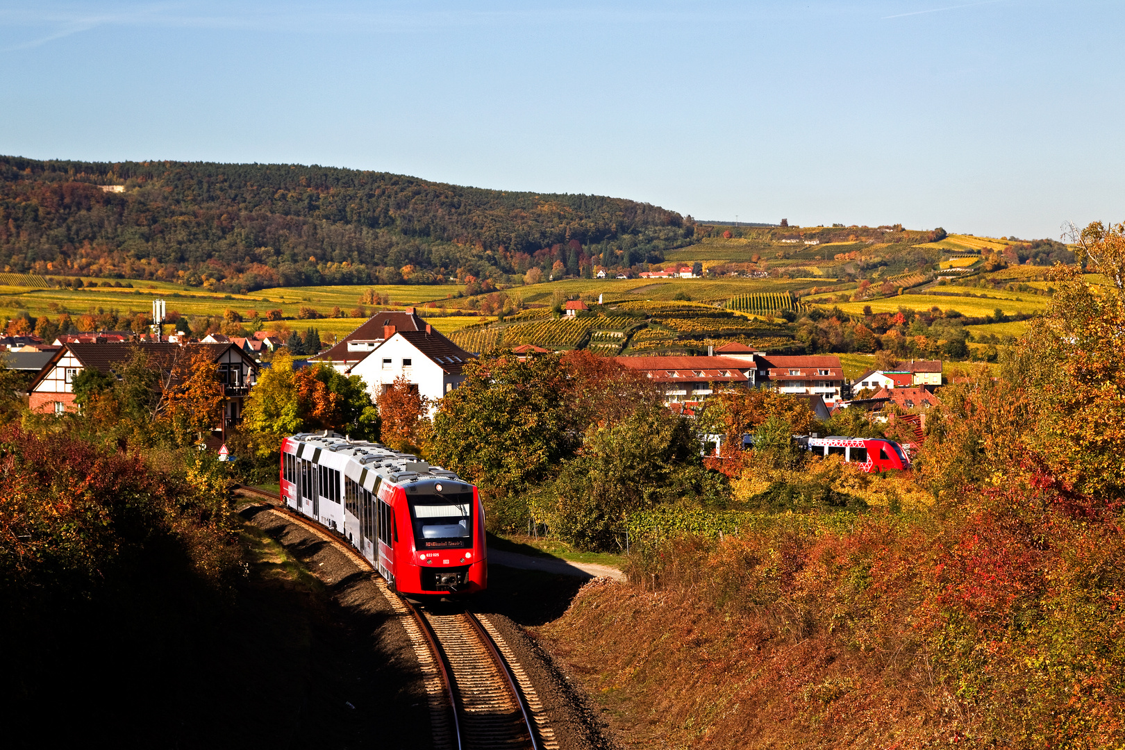 Partnervermittlung bad dürkheim