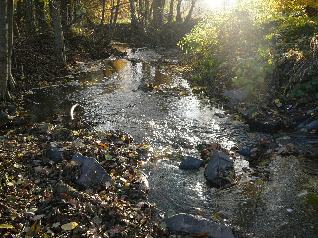 Bad Endbach in Lahn-Dilbergland