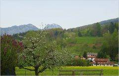 Bad Feilnbacher Frühling