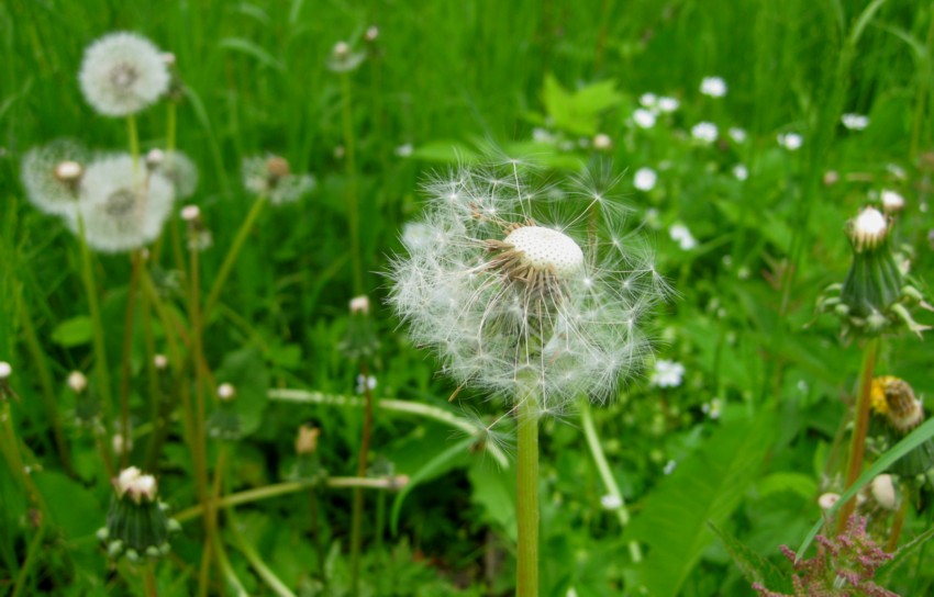 Bad hair day