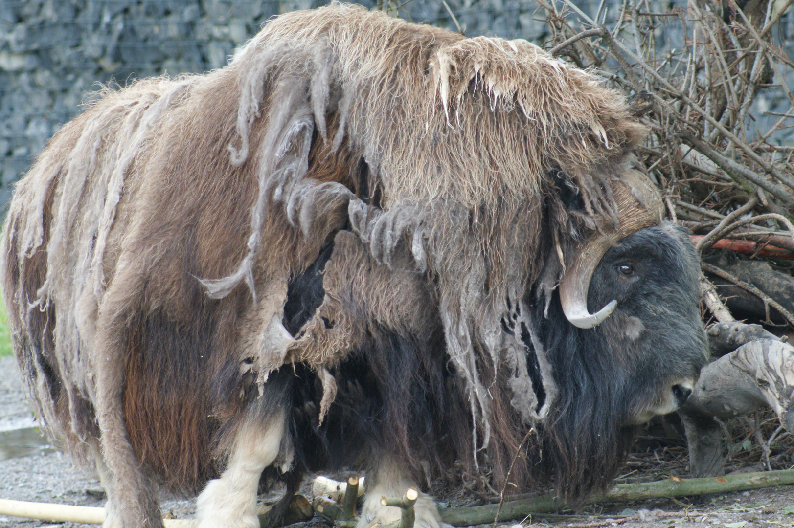 Bad Hair Day