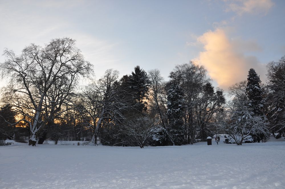 Bad Homburger Winterpark von RCHauff 