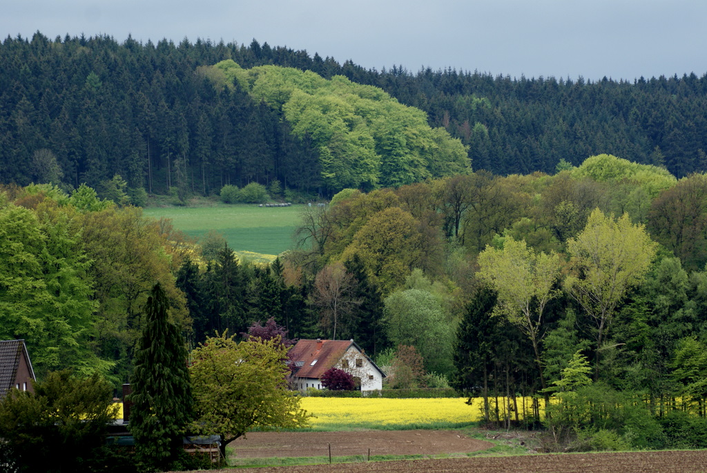 Bad Iburger Berge