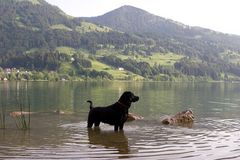 Bad im Alpsee