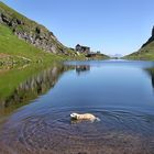 Bad im Bergsee