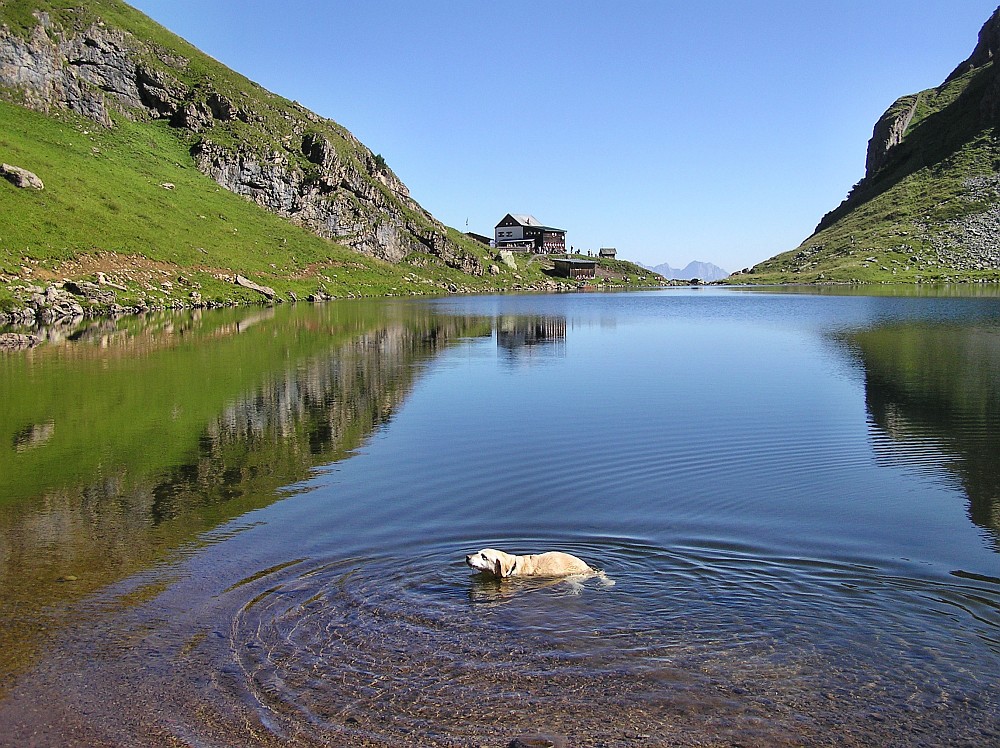 Bad im Bergsee