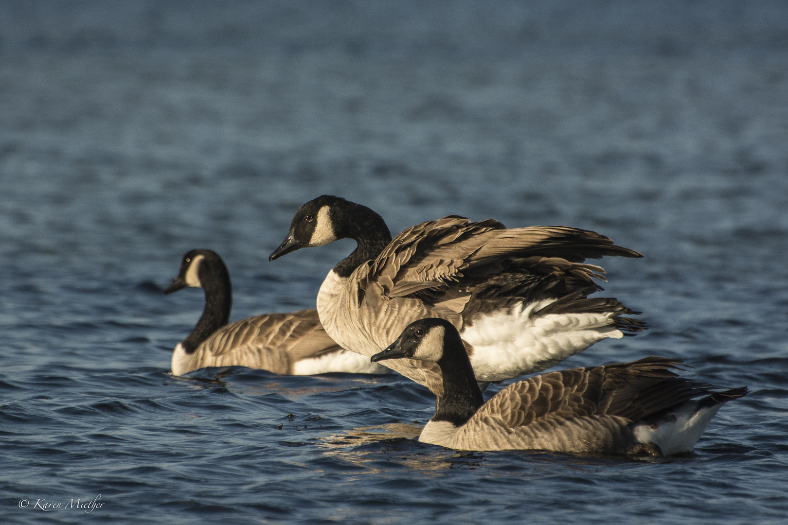 Bad in der Ostsee zu dritt