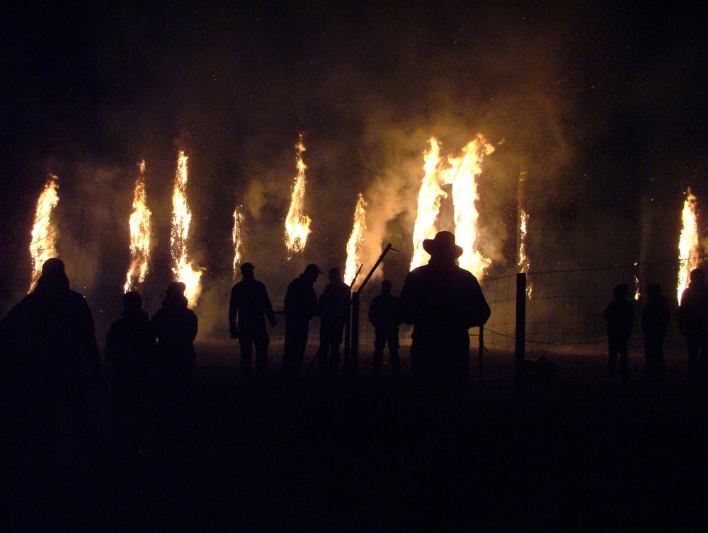 Bad Liebenstein 2008-Fackelbrand-alle Jahre wieder